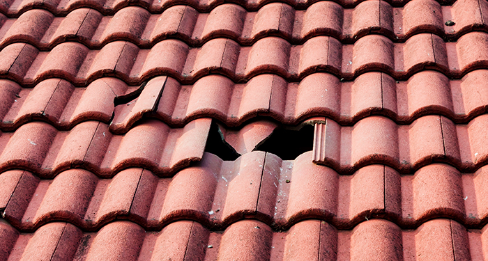 roof tiles