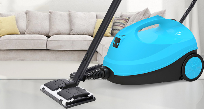 MLMLANT steam cleaner