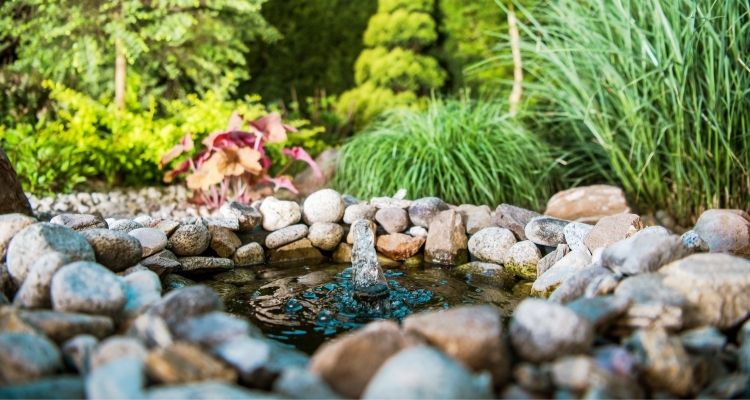 small garden pond with water feature