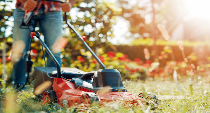 How Much Does Grass Cutting Cost Mowing Price Guide 2024