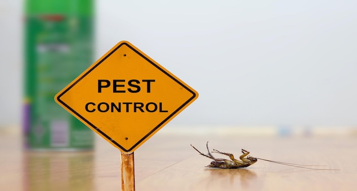 Orange pest control sign