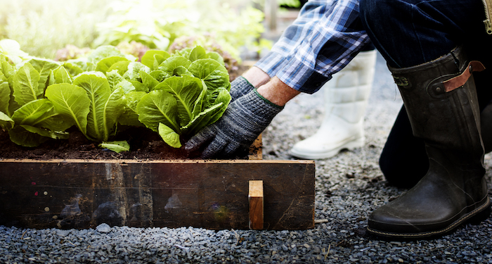 gardening