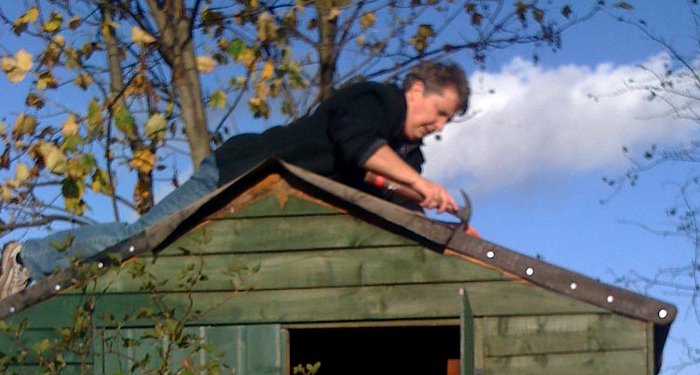 Black Shirt Man On Shed Roof