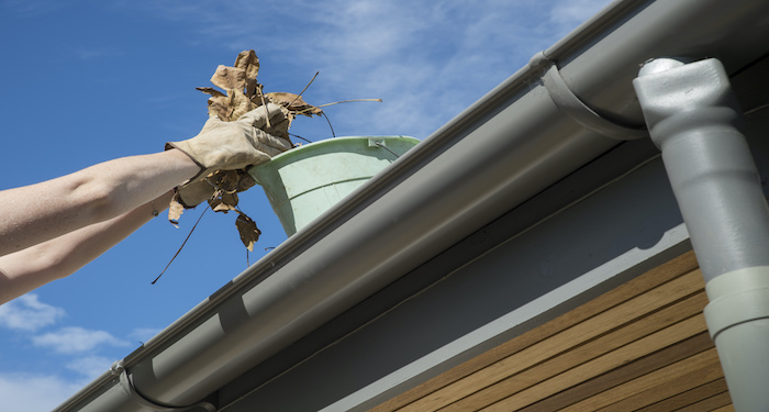 Removing leaves from a gutter