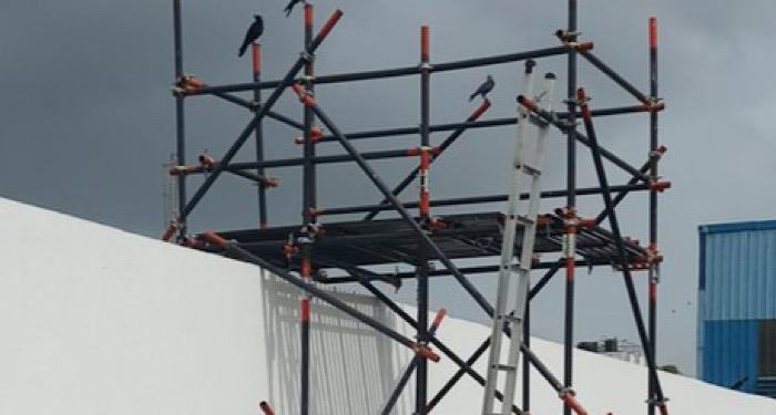 scaffolding on a wall with a ladder