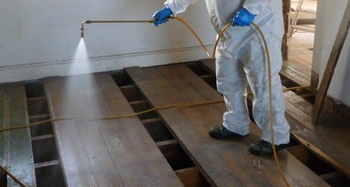 spraying woodworm treatment