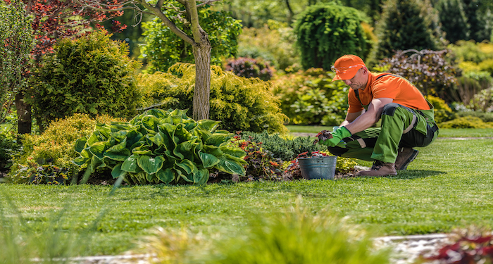 maintaining garden