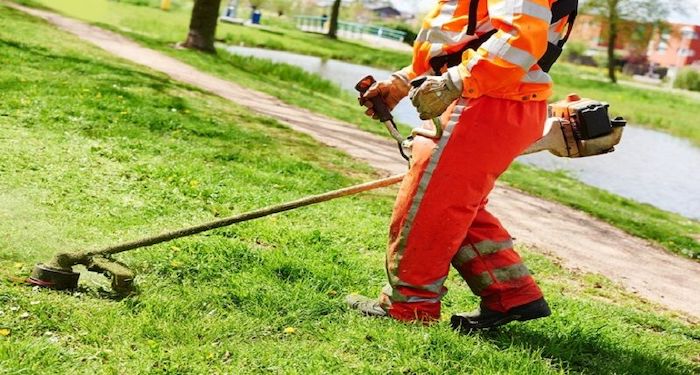 Grass petrol strimmer