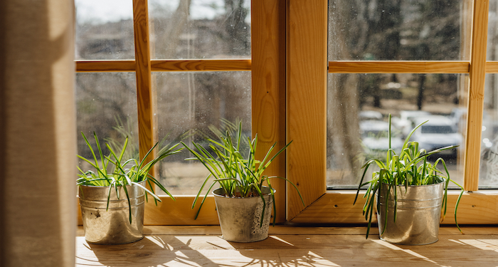 wooden windowsill