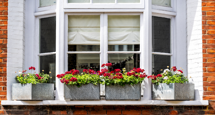 a box bay window