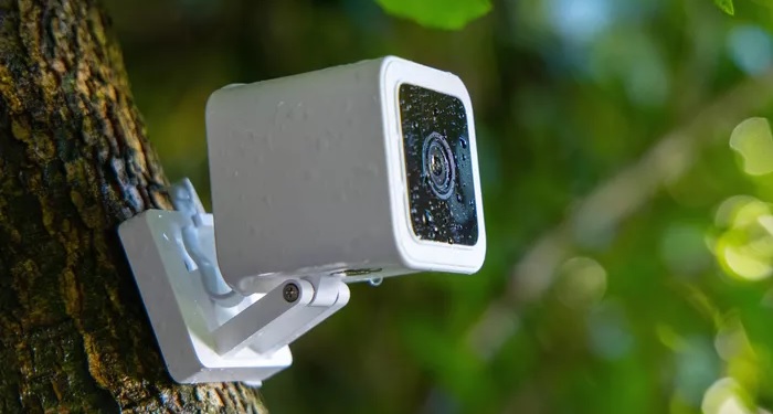 Home security camera on tree