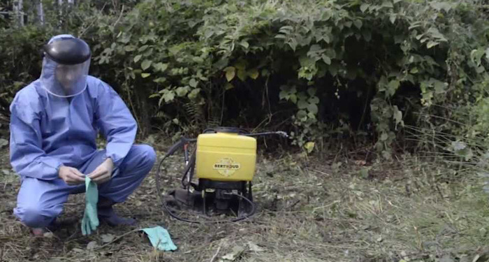 man getting ready to treat Japanese knotweed