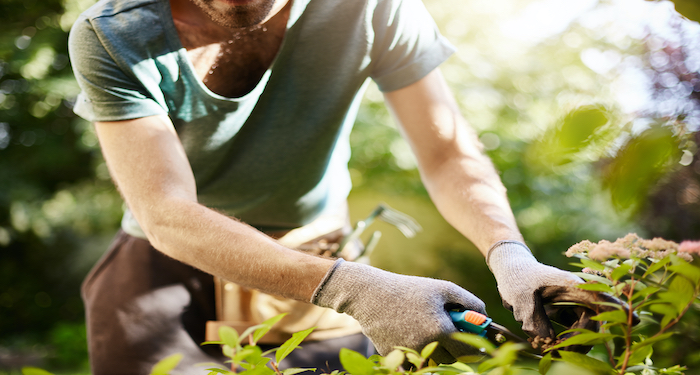 How Much Do Gardeners Charge Per Day Uk