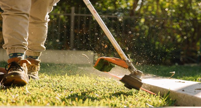 Petrol line strimmer