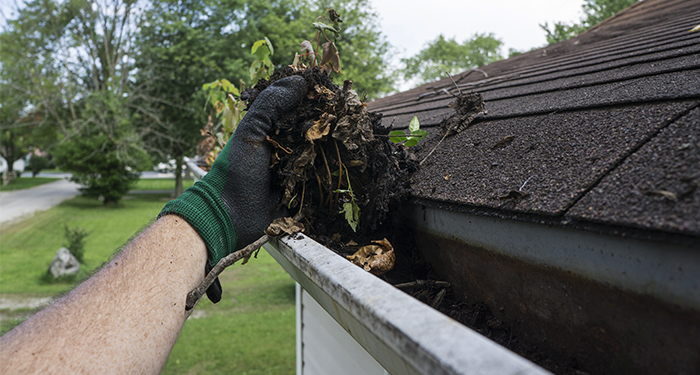 hand cleaning leaves from guttering