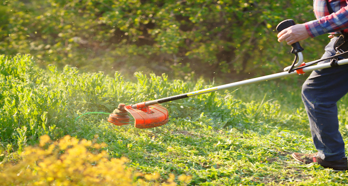 grass cutting