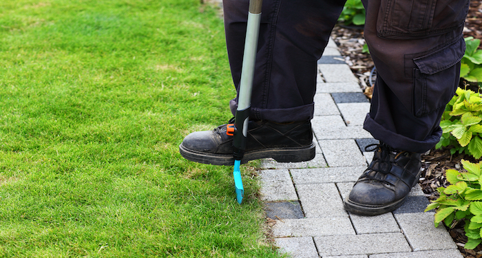 removing concrete edging