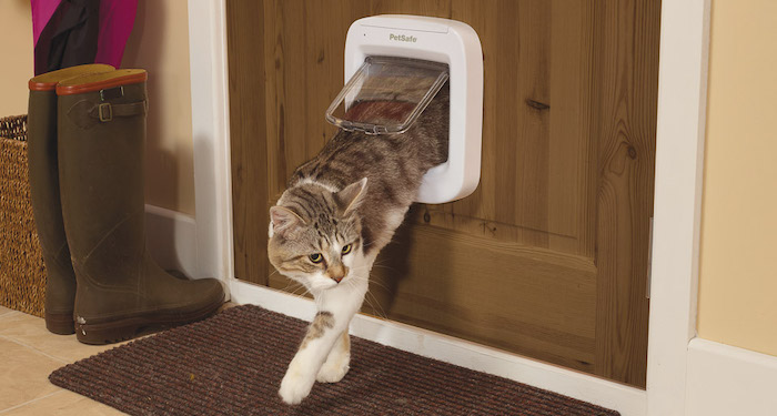 cat using infrared pet flap