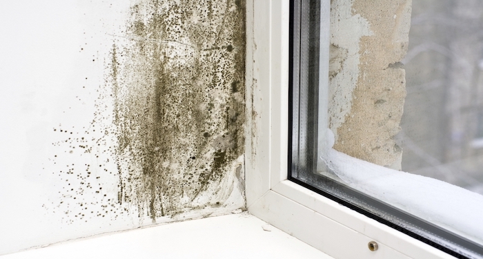 penetrating damp