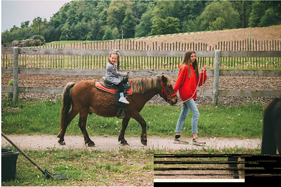 child on horse