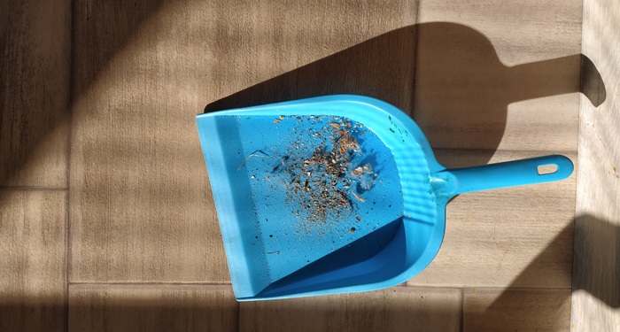 Dustpan and dirt