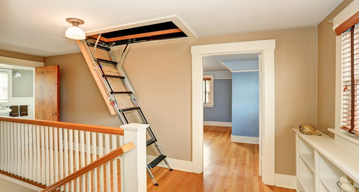 Loft ladder