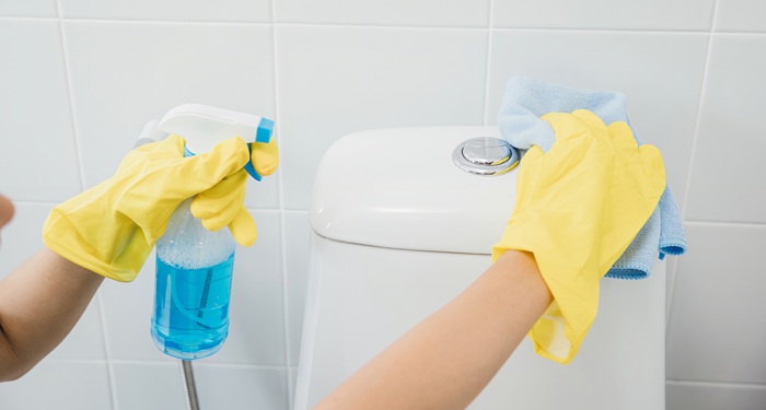 Hand cleaning toilet