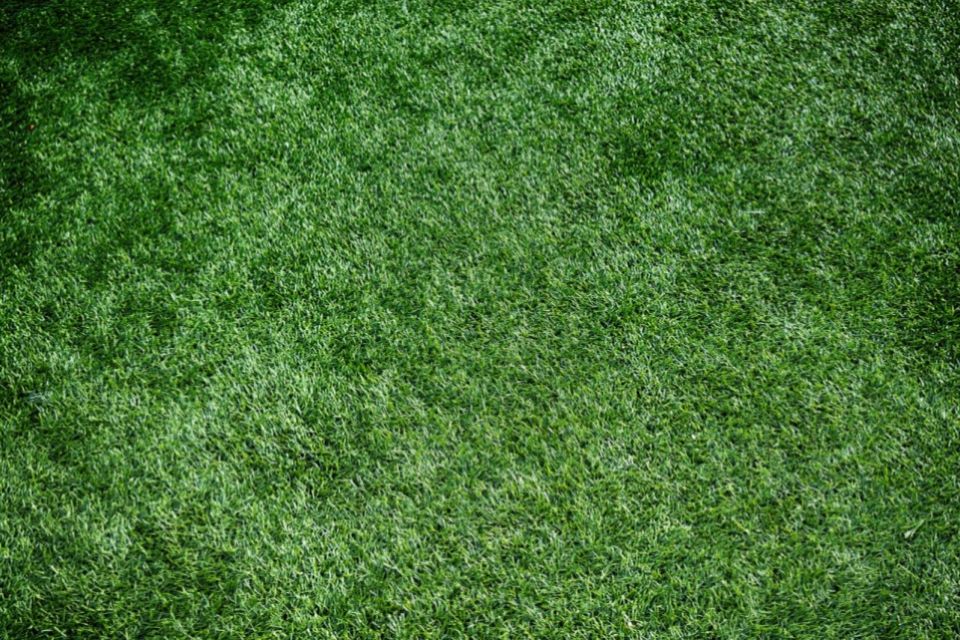 artificial grass lawn