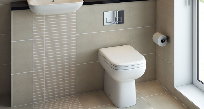 wall hung toilet