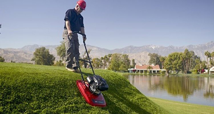 Best Petrol Lawnmower