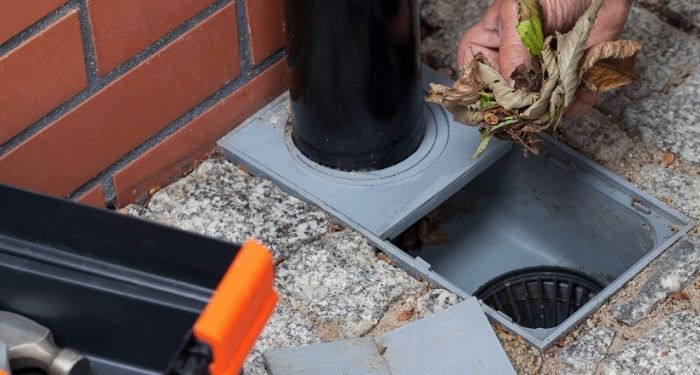 leaves in drain