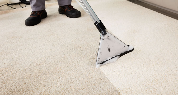 carpet cleaning