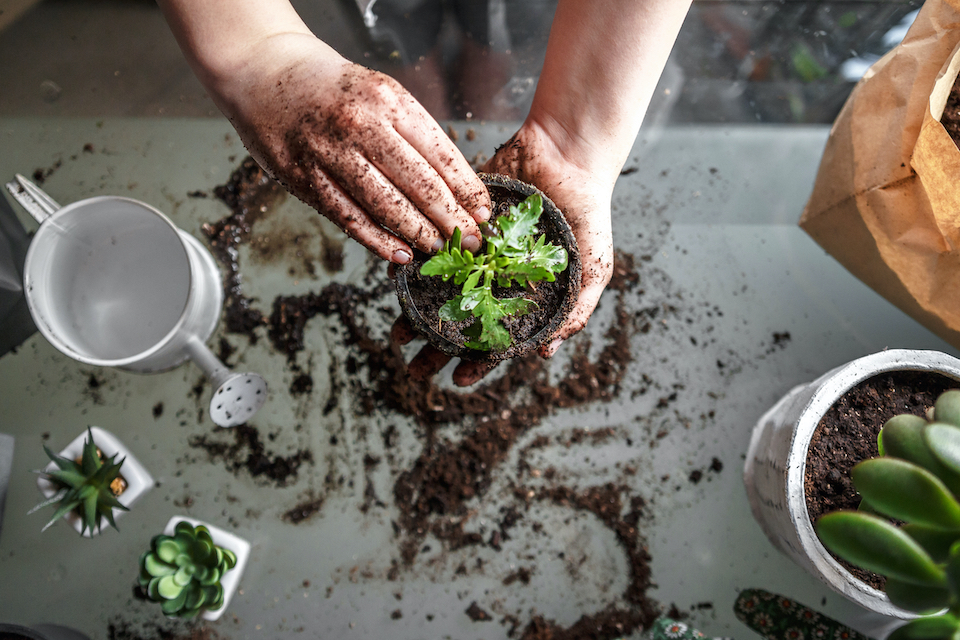 Gardener Cost How Much Does Hiring A Gardener Cost 