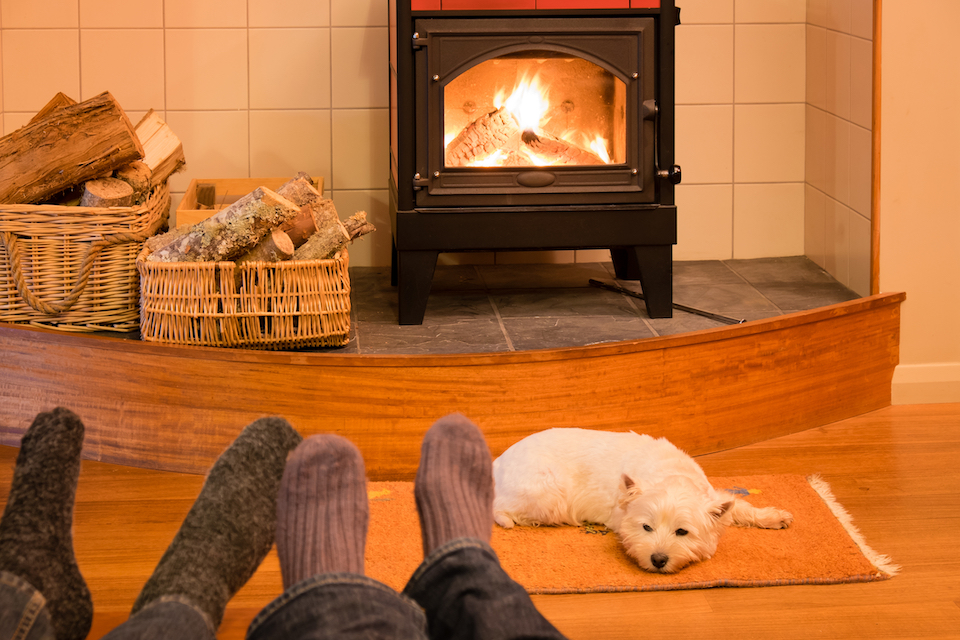 wood burner with dog