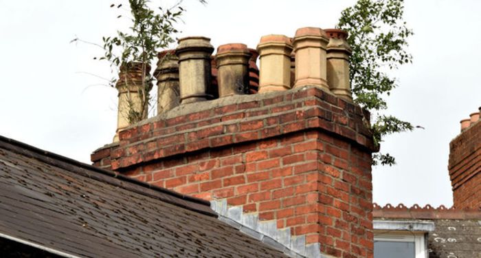 overgrown chimney