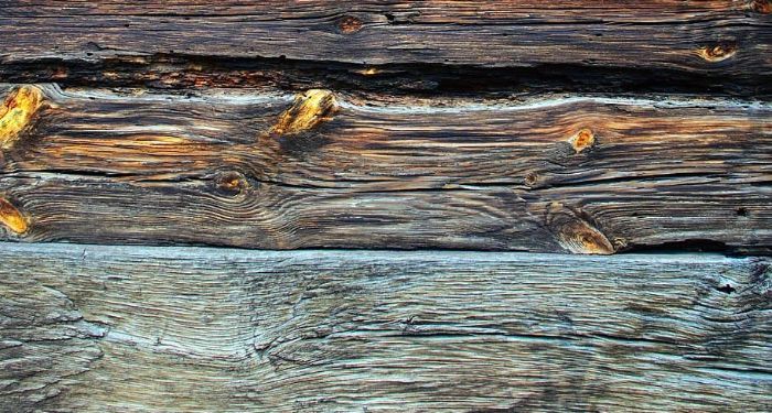 rotten decking boards